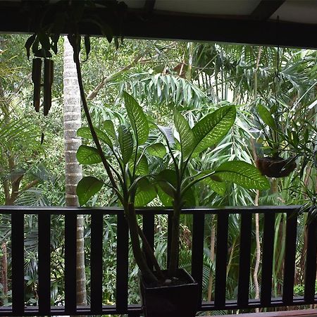 Oskar'S Rain Forest Retreat Nelly Bay Exteriör bild