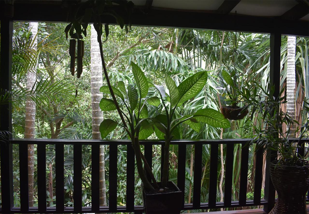Oskar'S Rain Forest Retreat Nelly Bay Exteriör bild