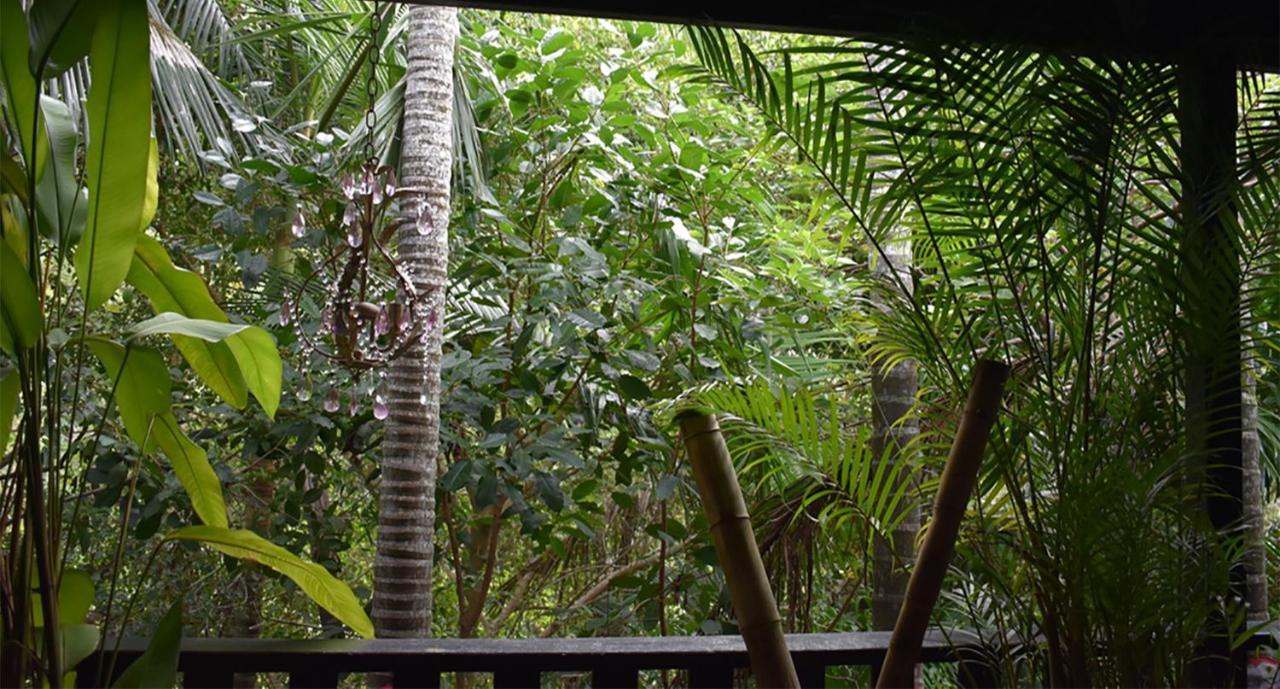 Oskar'S Rain Forest Retreat Nelly Bay Exteriör bild